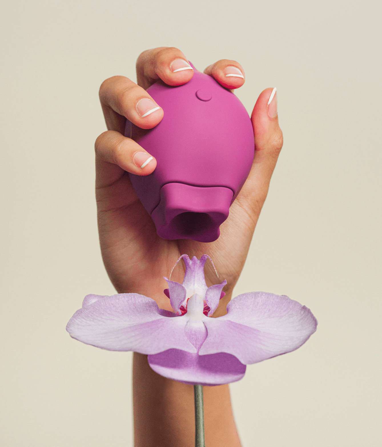 Next Project Preview